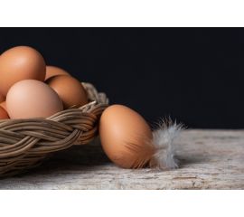 яйцо куриное 
